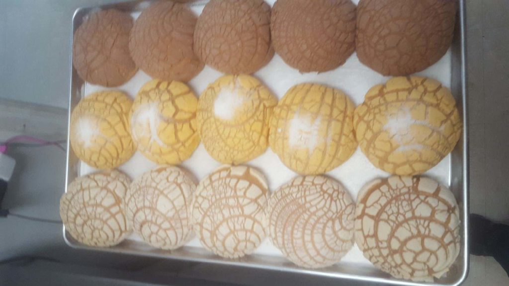 conchas mexicanas